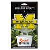 Michigan Logo Acrylic Plant Stake