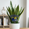 Michigan Helmet Acrylic Plant Stake