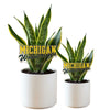 Michigan Wolverines Acrylic Plant Stake