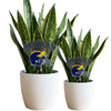 Michigan Helmet Acrylic Plant Stake