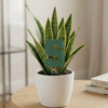 Michigan State Block S Acrylic Plant Stake