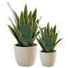 Michigan State Block S Acrylic Plant Stake