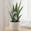 Michigan State Sparty Head Acrylic Plant Stake