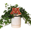University of Minnesota M Color Plant Stake