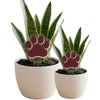 Mississippi State Paw Acrylic Plant Stake