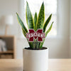 Mississippi State University Acrylic Plant Stake