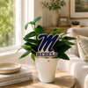 University of Mississippi Rebels Color Plant Stake