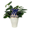 University of Mississippi Rebels Color Plant Stake
