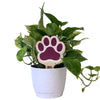 Mississippi State Paw Color Plant Stake