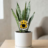 University of Missouri Truman Head Acrylic Plant Stake