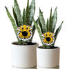 University of Missouri Truman Head Acrylic Plant Stake