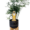University of Missouri Mascot Color Plant Stake