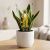 University of Missouri Mascot Acrylic Plant Stake