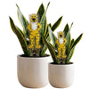 University of Missouri Mascot Acrylic Plant Stake