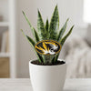 University of Missouri Tiger Acrylic Plant Stake