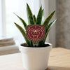 Missouri State Bear Head Acrylic Plant Stake