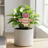 Missouri State Logo Color Plant Stake