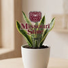 Missouri State Logo Acrylic Plant Stake