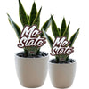 Missouri State 'MO' Acrylic Plant Stake