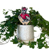 North Carolina State Tuffy Color Plant Stake