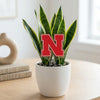 University of Nebraska 'N' Acrylic Plant Stake
