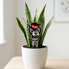 North Carolina State Wolfpack Acrylic Plant Stake