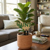 North Texas Logo 'UNT' Plant Stake