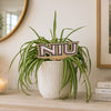 Northern Illinois University 'NIU' Color Plant Stake