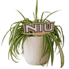 Northern Illinois University 'NIU' Color Plant Stake