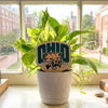Ohio University Logo Color Plant Stake
