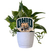 Ohio University Logo Color Plant Stake