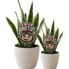 Ohio State University Baby Brutus Acrylic Plant Stake