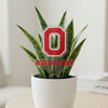 The Ohio State University 'Buckeyes' Acrylic Plant Stake