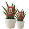 The Ohio State University 'Buckeyes' Acrylic Plant Stake