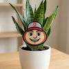The Ohio State University Brutus Head Acrylic Plant Stake