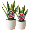 The Ohio State University Acrylic Plant Stake