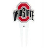 The Ohio State University Medium Garden Stake