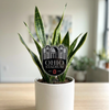 The Ohio State University Stadium Acrylic Plant Stake