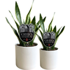 The Ohio State University Stadium Acrylic Plant Stake