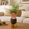 Oklahoma Logotype Color Plant Stake