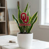 Oklahoma Logotype Acrylic Plant Stake