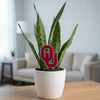 University of Oklahoma OU Acrylic Plant Stake