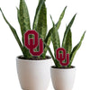 University of Oklahoma OU Acrylic Plant Stake