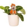 Oklahoma State Pistol Pete Color Plant Stake