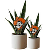 Oklahoma State Pistol Pete Acrylic Plant Stake