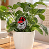 University of Georgia Uga Acrylic Plant Stake