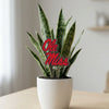 University of Mississippi Ole Miss Acrylic Plant Stake