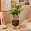 Pi Beta Phi Crest Color Plant Stake