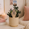 Pi Beta Phi Crest Natural Wood Plant Stake