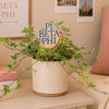 Pi Beta Phi Logo Color Plant Stake